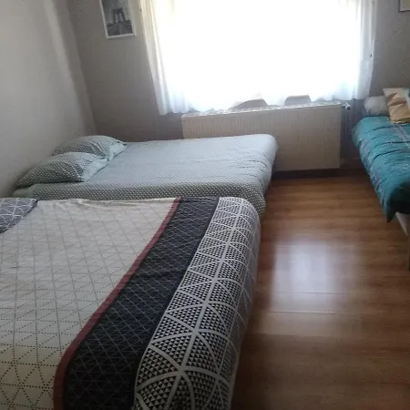 Le De Ambre Grand (Vosges)